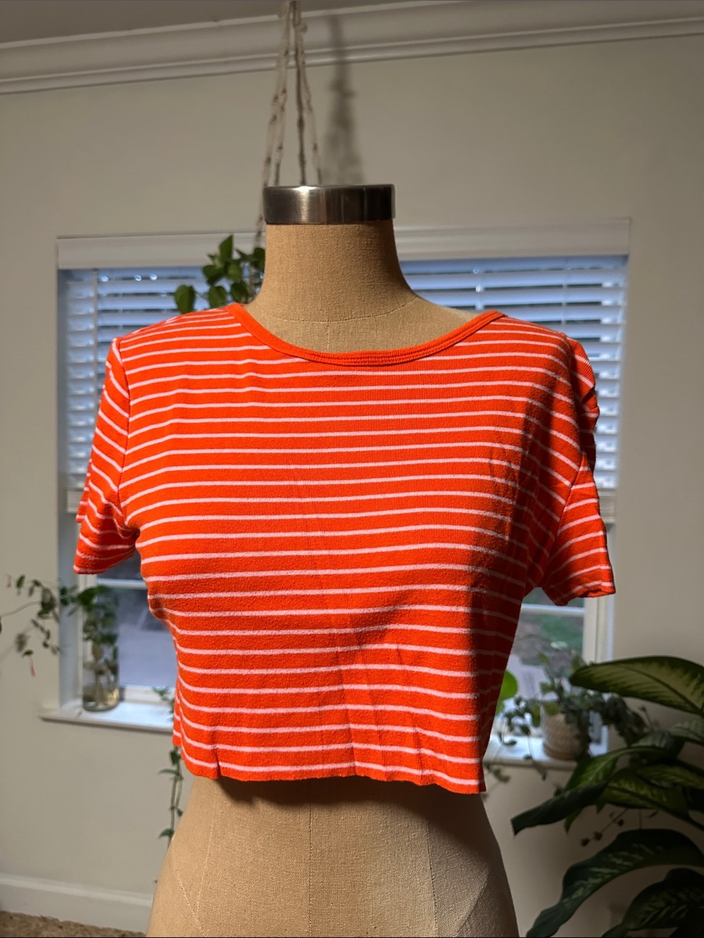 Striped Orange Crop Tee - Women's Casual Top